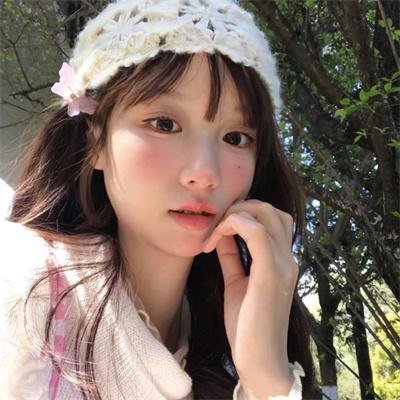 小查与寇弟的顶级冒险