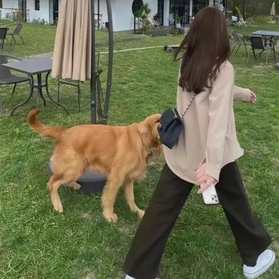 疯狂原始人2